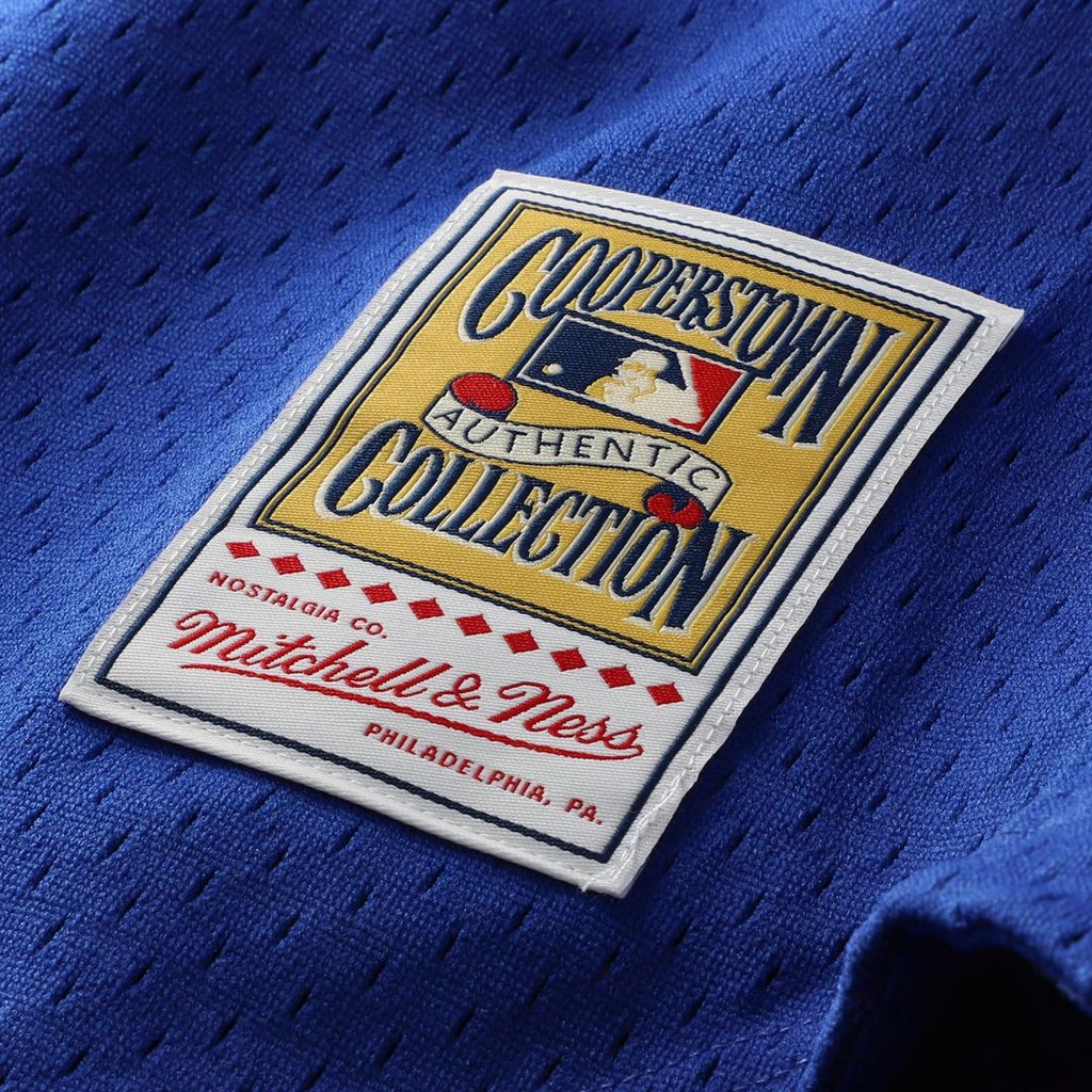 Chicago Cubs Ryne Sandberg Mitchell & Ness Royal Cooperstown Collection 1997 Mesh Batting Practice Button-Up Jersey
